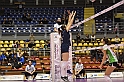 MAS_8784