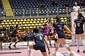 MAS_8790