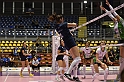 MAS_8867