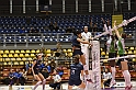 MAS_8916