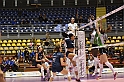 MAS_8917