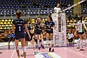 MAS_8919