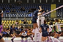 MAS_8933
