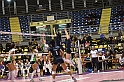MAS_8964