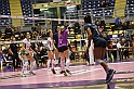 MAS_8979