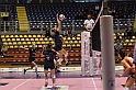 MAS_0833