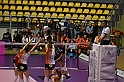 MAS_1021