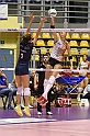 MAS_1185
