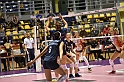 MAS_1231