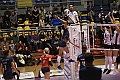 MAS_1161