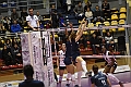 MAS_1174