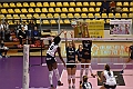MAS_1185