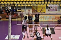 MAS_1186