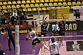 MAS_1211