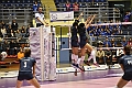 MAS_1333