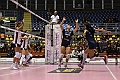 MAS_1397