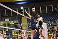 MAS_1425