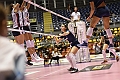 MAS_1431