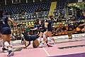 MAS_1436