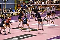 MAS_1481