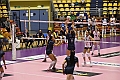MAS_1483