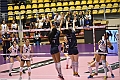 MAS_1491