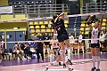 MAS_1517