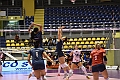 MAS_1575