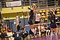 MAS_1596