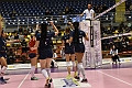 MAS_1639