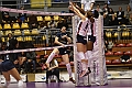 MAS_1656