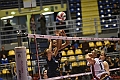 MAS_1659