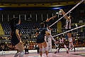 MAS_1673