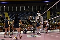 MAS_1683