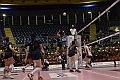 MAS_1684