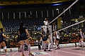 MAS_1686