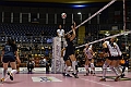 MAS_1689