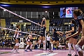 MAS_1731
