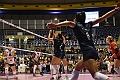 MAS_1775