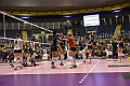 MAS_1781