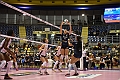 MAS_1786