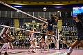 MAS_1787