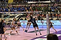 MAS_1847