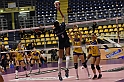 MAS_2753