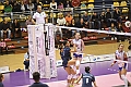MAS_4548