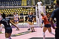 MAS_4785