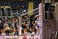 MAS_4881