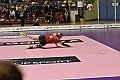 MAS_4940