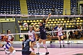 MAS_4949