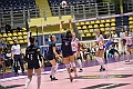 MAS_4955